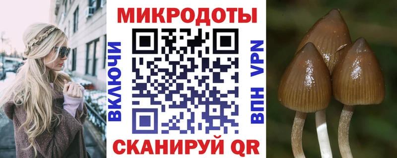 Галлюциногенные грибы мицелий  Таштагол 